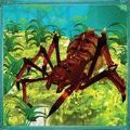 蜘蛛蚁后昆虫战争游戏官方版 v0.3