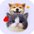 猫狗语宠物翻译器app官方下载 v1.1