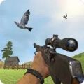 Pigeon Shoot游戏官方安卓版 v1.1.9
