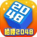 哈喽2048游戏官方安卓版 v1020.888.888