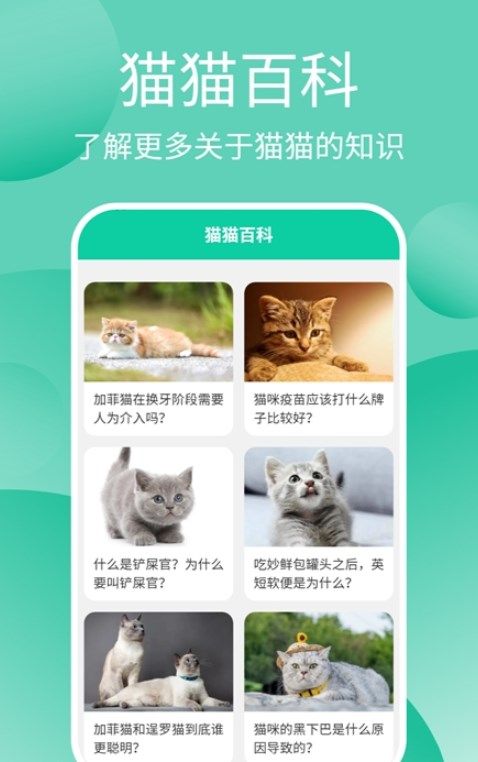 猫猫交流工具app手机版 v3.3.4