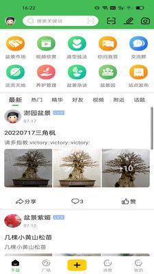 千盆盆景app安卓版下载图片1