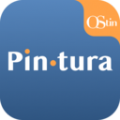 Pintura OStin摄像头软件